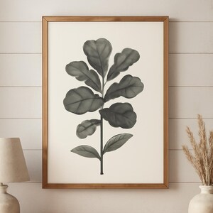 May include: A framed botanical print depicting a fiddle-leaf fig plant in watercolour. The artwork uses a neutral colour palette with grey and green tones. The frame is a warm, light brown colour.