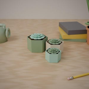 Peut inclure: Trois pots hexagonaux de tailles différentes, contenant chacun une plante succulente vert clair. Les pots sont de couleur vert sauge et crème. Un mug vert clair, une pile de livres gris et jaunes et un crayon jaune sont présents.