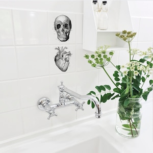 Puede incluir: Una pared de azulejos blancos presenta dos ilustraciones anatómicas en blanco y negro: un cráneo humano y un corazón. Un grifo cromado está en primer plano, y un tarro de cristal con vegetación está a la derecha. La escena es brillante y limpia.