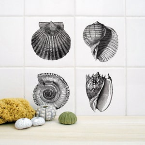 Può includere: Quattro illustrazioni in bianco e nero di conchiglie su uno sfondo di piastrelle bianche. Le conchiglie sono una capesanta, una conchiglia, una conchiglia a spirale e una conchiglia conica.
