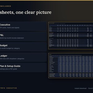 May include: A digital spreadsheet template titled What's Included: Five sheets, one clear picture. It lists five components: Executive, P&L, Budget, Ledger, and Plan & Setup Guide, alongside two dark-themed financial data tables with rows and columns.