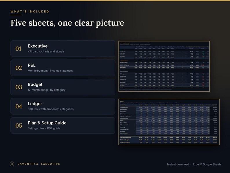 May include: A digital spreadsheet template titled What's Included: Five sheets, one clear picture. It lists five components: Executive, P&L, Budget, Ledger, and Plan & Setup Guide, alongside two dark-themed financial data tables with rows and columns.