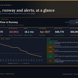 May include: A digital dashboard titled Cash Flow & Runway displaying financial metrics including cash on hand of $79,970, a net cash flow of ($4,963), and a 16.1 month runway. The interface features a line graph, status signals, and data tables.