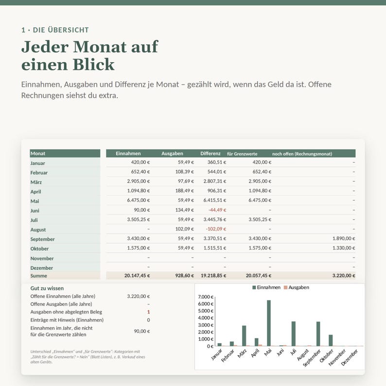 Einnahmen-Übersicht Excel Kleinunternehmer Paragraf 19 UStG | Grenzwerte 25000 und 100000 Euro mit Ampel | Nebenerwerb, ohne Makros Bild 2
