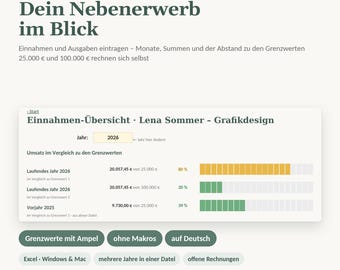 Income overview in Excel for small businesses (Section 19 of the German VAT Act) | Thresholds of €25,000 and €100,000 with traffic light system | Secondary income, without macros
