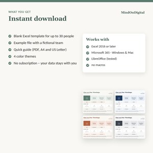 One on One Meeting Template for Managers | Excel Tracker for 1:1 Check-ins, Action Items and Goals | Team Leader, No Macros image 5