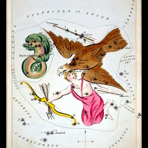 Delphinus, Sagitta, Aquila, y Antinous Constellation ZODIAC Star Chart ASTRONOMY Astrology Digitally Remastered Digital Download
