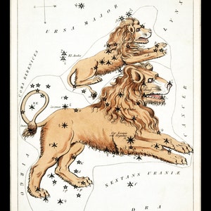 LEO Juli August Konstellation ZODIAC Stern Diagramm ASTRONOMY Astrologie digital remastered Fine Art Print / Poster digitaler Download