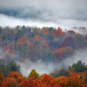 Foggy, Mountain Photograph, Blue Ridge, Mountains, Autumn, Smokies, North Carolina Landscape Photography