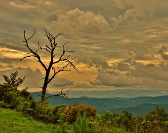 Blue Ridge Parkway, Sunrise, Nature Photography, Landscape Photography, Mountains, North Carolina, Clouds, scenery