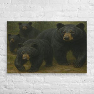 Black Bears Canvas Wall Art
