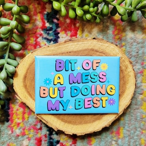 Bit of a Mess Magnet | Funny Refrigerator Art, Made in USA