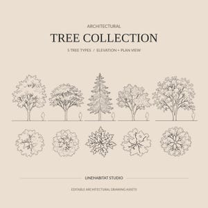 Architectural Tree Bundle | 5 Editable Trees with Elevation, Plan Views | Vector Landscape Drawings for Illustrator, Rhino, Photoshop
