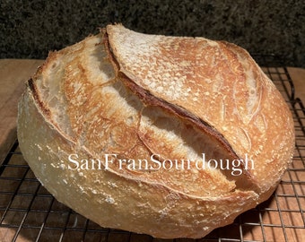 Sourdough Starter San Francisco, Oregon Trail, DRY or WET razor blade Yeast Bacteria baking bread pastry