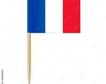 France Flag Toothpick