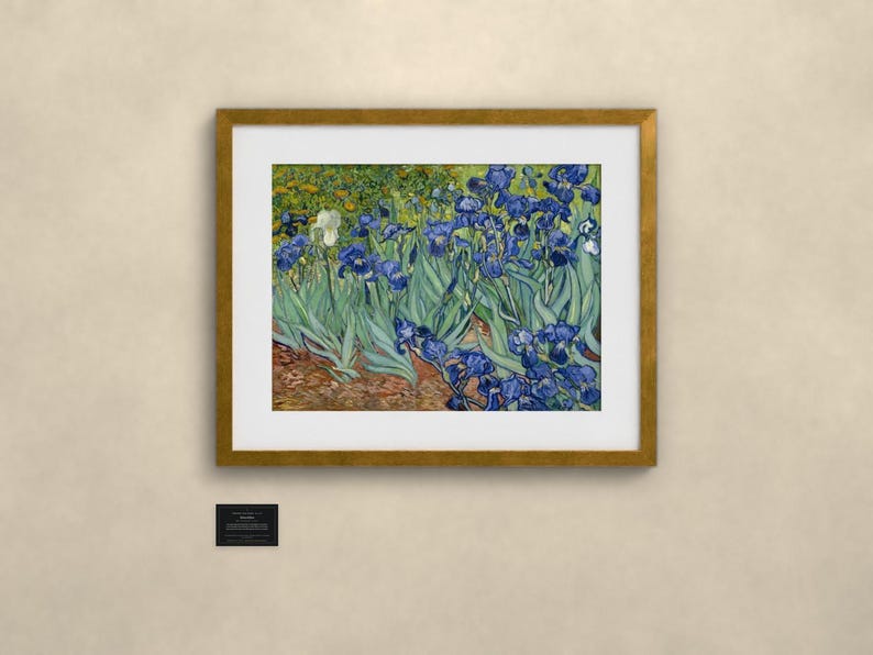 Schwertlilien - Vincent van Gogh | Gerahmter Kunstdruck 76x102 cm mit Passepartout, Gold oder Schwarz, Perspex oder Premium-Glas image 1