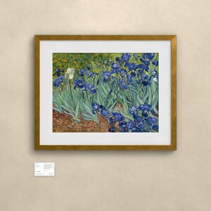 Schwertlilien - Vincent van Gogh | Gerahmter Kunstdruck 76x102 cm mit Passepartout, Gold oder Schwarz, Perspex oder Premium-Glas image 2