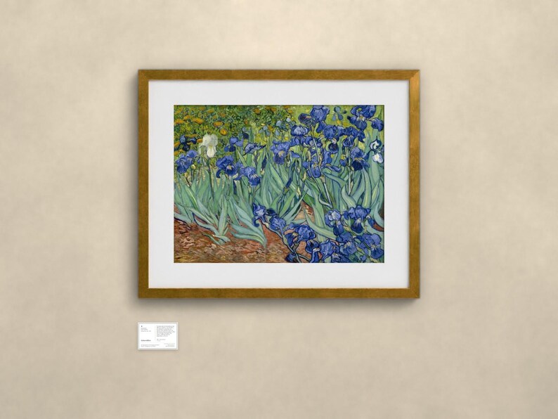 Schwertlilien - Vincent van Gogh | Gerahmter Kunstdruck 76x102 cm mit Passepartout, Gold oder Schwarz, Perspex oder Premium-Glas image 2