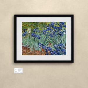 Schwertlilien - Vincent van Gogh | Gerahmter Kunstdruck 76x102 cm mit Passepartout, Gold oder Schwarz, Perspex oder Premium-Glas image 4