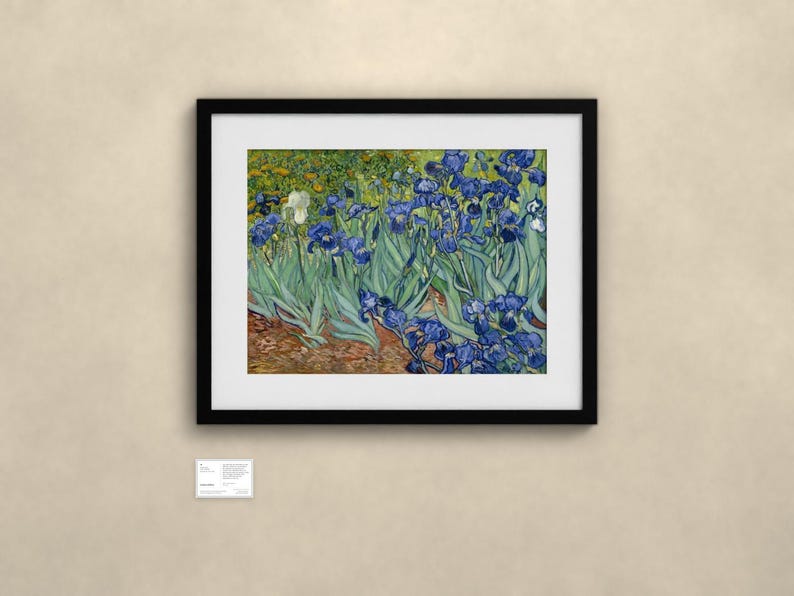 Schwertlilien - Vincent van Gogh | Gerahmter Kunstdruck 76x102 cm mit Passepartout, Gold oder Schwarz, Perspex oder Premium-Glas image 4