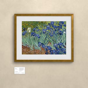 Schwertlilien - Vincent van Gogh | Gerahmter Kunstdruck 60x80 cm mit Passepartout, Gold oder Schwarz, Perspex oder Premium-Glas zdjęcie 2