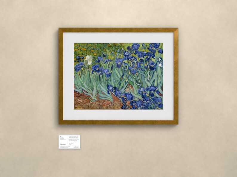 Schwertlilien - Vincent van Gogh | Gerahmter Kunstdruck 60x80 cm mit Passepartout, Gold oder Schwarz, Perspex oder Premium-Glas zdjęcie 2