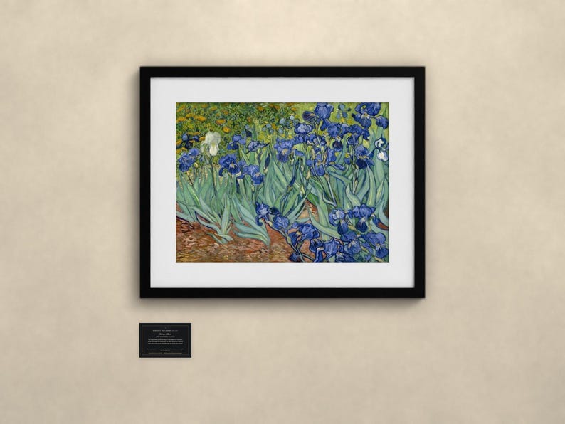 Schwertlilien - Vincent van Gogh | Gerahmter Kunstdruck 60x80 cm mit Passepartout, Gold oder Schwarz, Perspex oder Premium-Glas zdjęcie 3