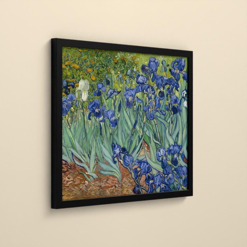 Schwertlilien - Vincent van Gogh | Gerahmter Kunstdruck 60x80 cm ohne Passepartout, Gold oder Schwarz, Perspex oder Premium-Glas imagen 9