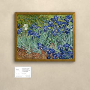 May include: A framed print of Vincent van Gogh's Irises painting featuring vibrant blue flowers with green foliage and a single white iris, displayed with an accompanying informational placard containing text about the artwork.