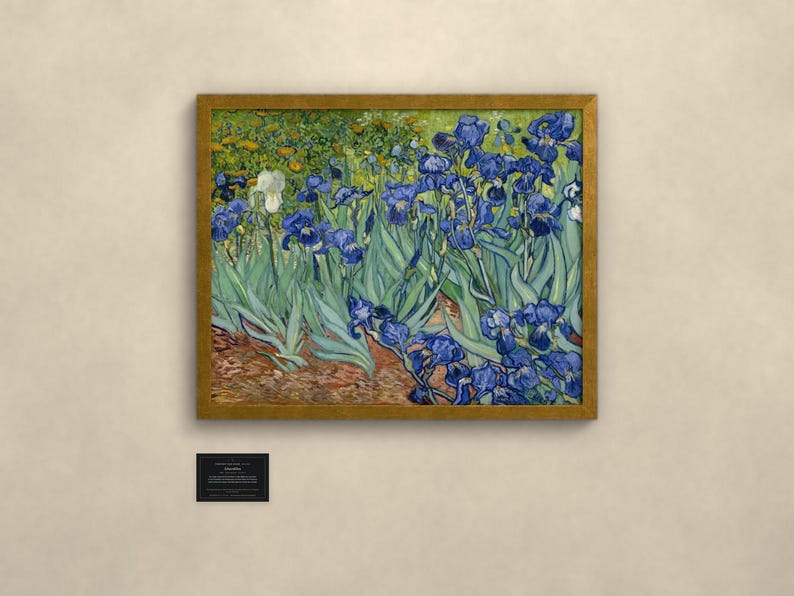 Schwertlilien - Vincent van Gogh | Gerahmter Kunstdruck 60x80 cm ohne Passepartout, Gold oder Schwarz, Perspex oder Premium-Glas imagen 1
