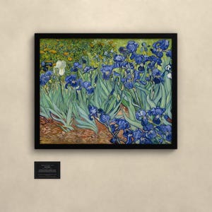 Schwertlilien - Vincent van Gogh | Gerahmter Kunstdruck 60x80 cm ohne Passepartout, Gold oder Schwarz, Perspex oder Premium-Glas imagen 3