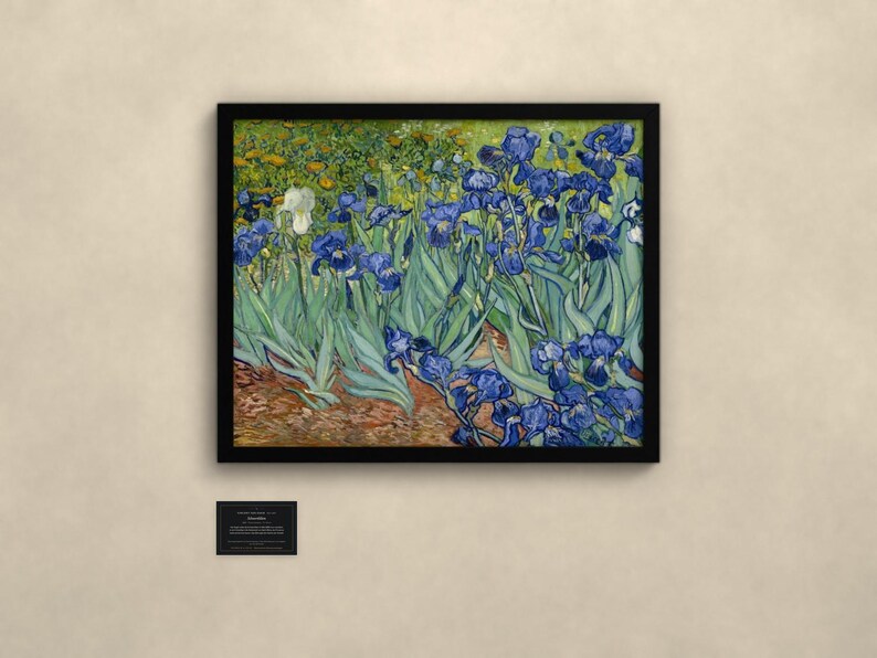 Schwertlilien - Vincent van Gogh | Gerahmter Kunstdruck 60x80 cm ohne Passepartout, Gold oder Schwarz, Perspex oder Premium-Glas imagen 3