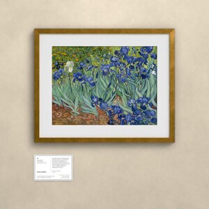 Schwertlilien - Vincent van Gogh | Gerahmter Kunstdruck 40x50 cm mit Passepartout, Gold oder Schwarz, Perspex oder Premium-Glas image 2