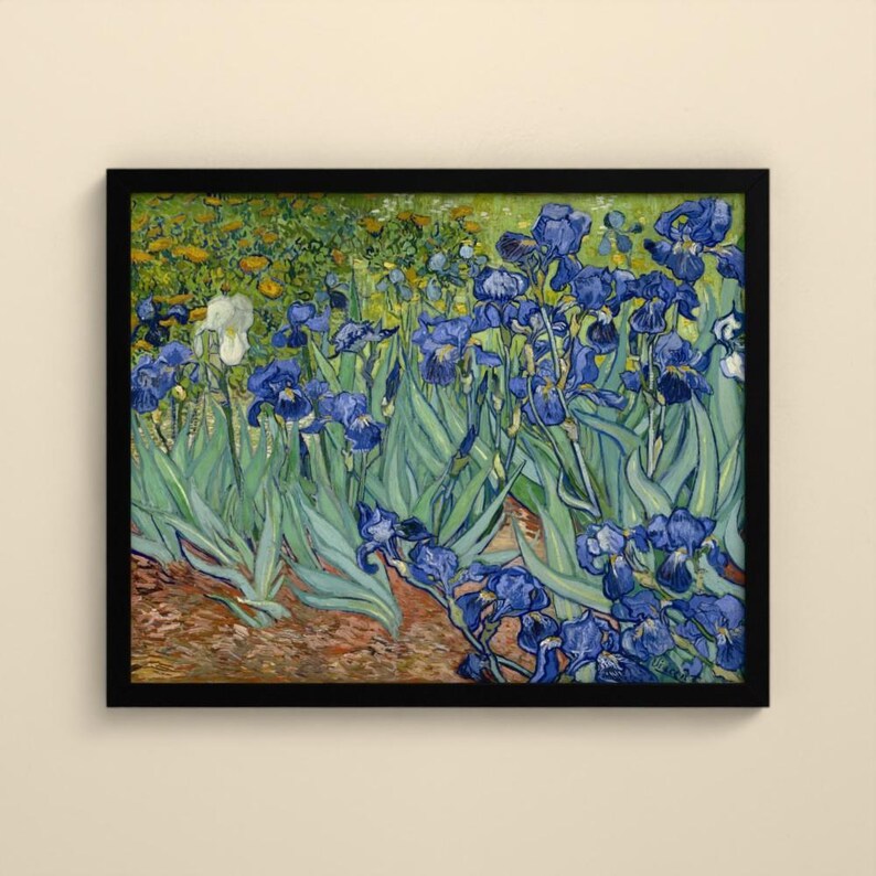 Schwertlilien - Vincent van Gogh | Gerahmter Kunstdruck 60x80 cm ohne Passepartout, Gold oder Schwarz, Perspex oder Premium-Glas imagen 8