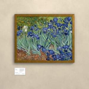 Schwertlilien - Vincent van Gogh | Gerahmter Kunstdruck 60x80 cm ohne Passepartout, Gold oder Schwarz, Perspex oder Premium-Glas imagen 2