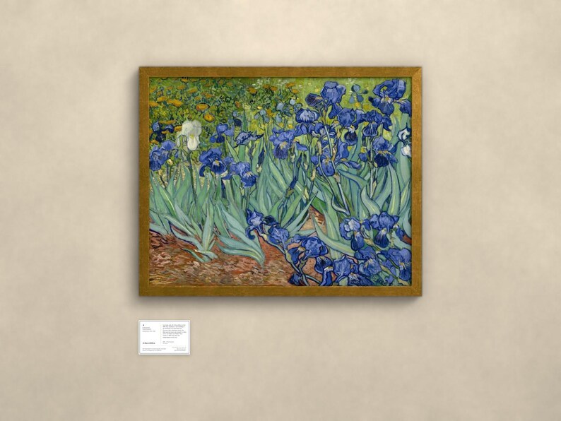 Schwertlilien - Vincent van Gogh | Gerahmter Kunstdruck 60x80 cm ohne Passepartout, Gold oder Schwarz, Perspex oder Premium-Glas imagen 2