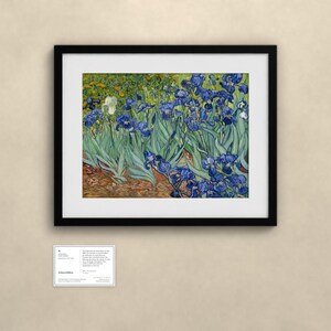 Schwertlilien - Vincent van Gogh | Gerahmter Kunstdruck 40x50 cm mit Passepartout, Gold oder Schwarz, Perspex oder Premium-Glas image 4
