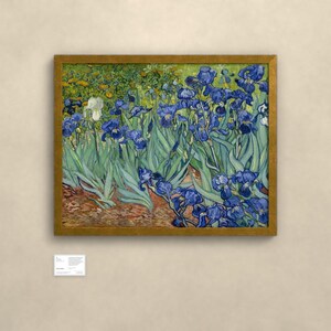 May include: A framed print of Vincent van Gogh's Irises painting, featuring deep blue and white flowers with long green leaves against a textured background, displayed in a gold-toned frame with a small white informational plaque below.