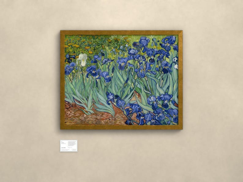 May include: A framed print of Vincent van Gogh's Irises painting, featuring deep blue and white flowers with long green leaves against a textured background, displayed in a gold-toned frame with a small white informational plaque below.