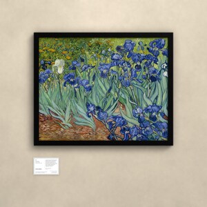 Schwertlilien - Vincent van Gogh | Gerahmter Kunstdruck 60x80 cm ohne Passepartout, Gold oder Schwarz, Perspex oder Premium-Glas imagen 4