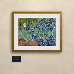 Schwertlilien - Vincent van Gogh | Gerahmter Kunstdruck 60x80 cm mit Passepartout, Gold oder Schwarz, Perspex oder Premium-Glas zdjęcie 1