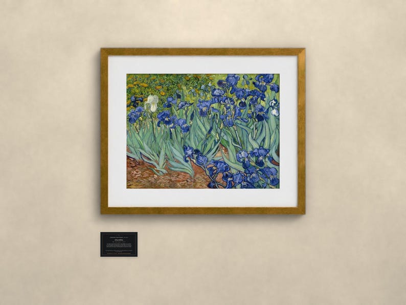 Schwertlilien - Vincent van Gogh | Gerahmter Kunstdruck 60x80 cm mit Passepartout, Gold oder Schwarz, Perspex oder Premium-Glas zdjęcie 1