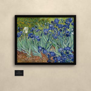 May include: A framed print of Vincent van Gogh's Irises painting, featuring vibrant blue flowers with green leaves and a single white iris, set against a textured brown earth background, displayed in a simple black frame with a small informational plaque.