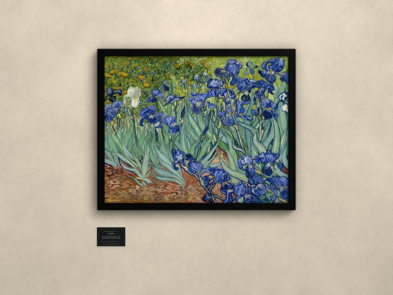 May include: A framed print of Vincent van Gogh's Irises painting, featuring vibrant blue flowers with green leaves and a single white iris, set against a textured brown earth background, displayed in a simple black frame with a small informational plaque.