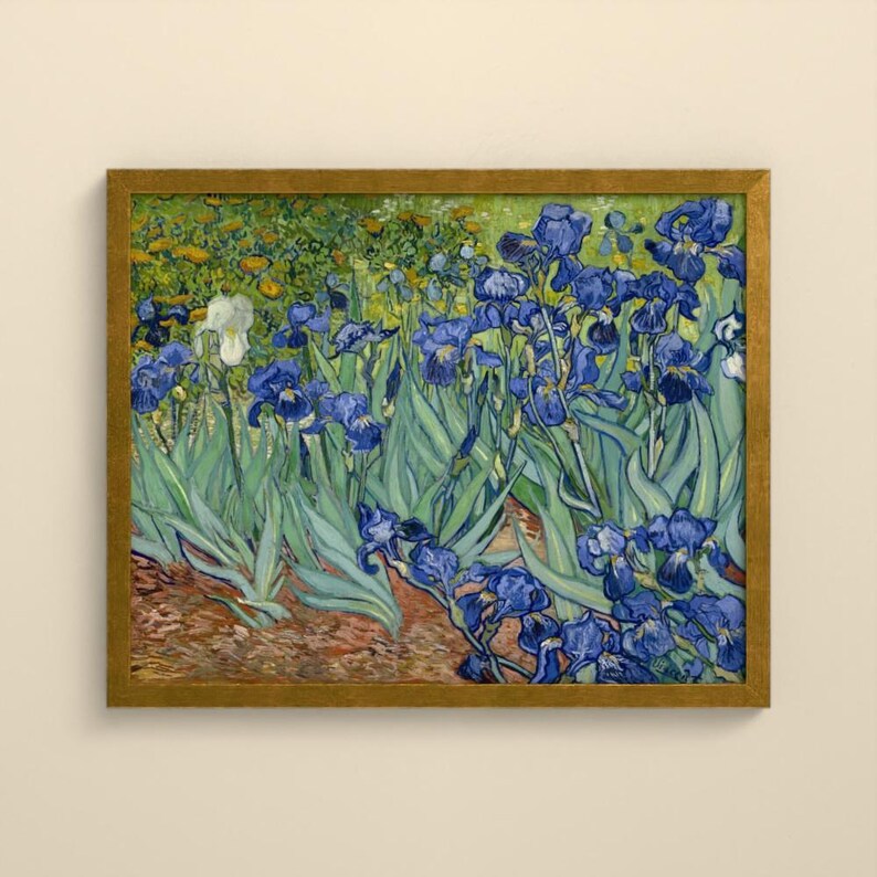 Schwertlilien - Vincent van Gogh | Gerahmter Kunstdruck 60x80 cm ohne Passepartout, Gold oder Schwarz, Perspex oder Premium-Glas imagen 5