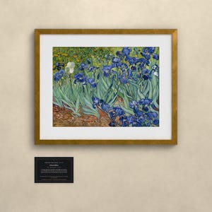 Schwertlilien - Vincent van Gogh | Gerahmter Kunstdruck 40x50 cm mit Passepartout, Gold oder Schwarz, Perspex oder Premium-Glas image 1