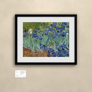Schwertlilien - Vincent van Gogh | Gerahmter Kunstdruck 60x80 cm mit Passepartout, Gold oder Schwarz, Perspex oder Premium-Glas zdjęcie 4