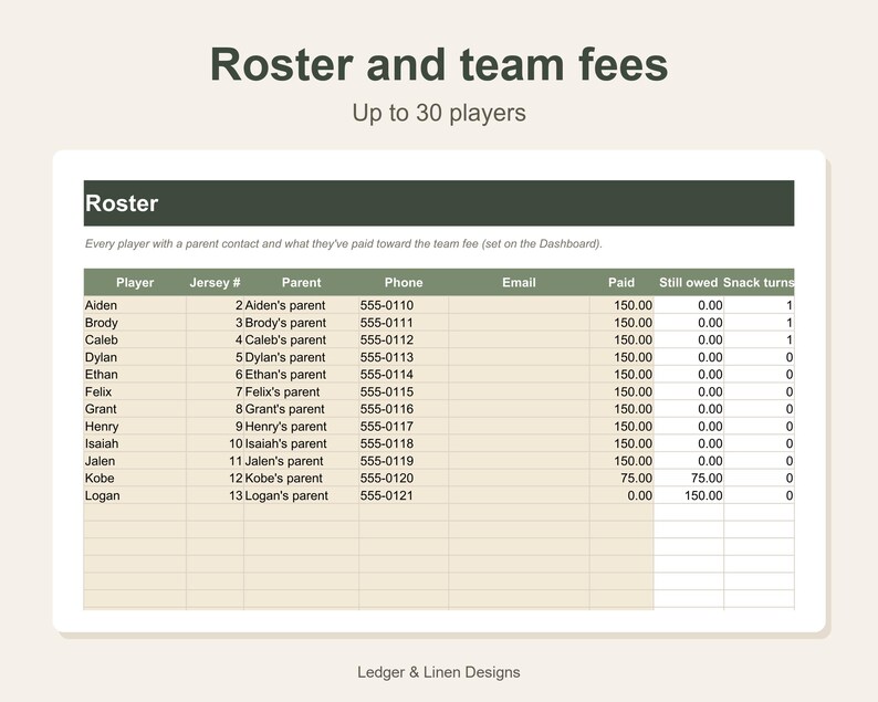 Youth Football Coach Planner Spreadsheet | Depth Chart Template | Snap Count Tracker | Team Roster for 30 Players image 5