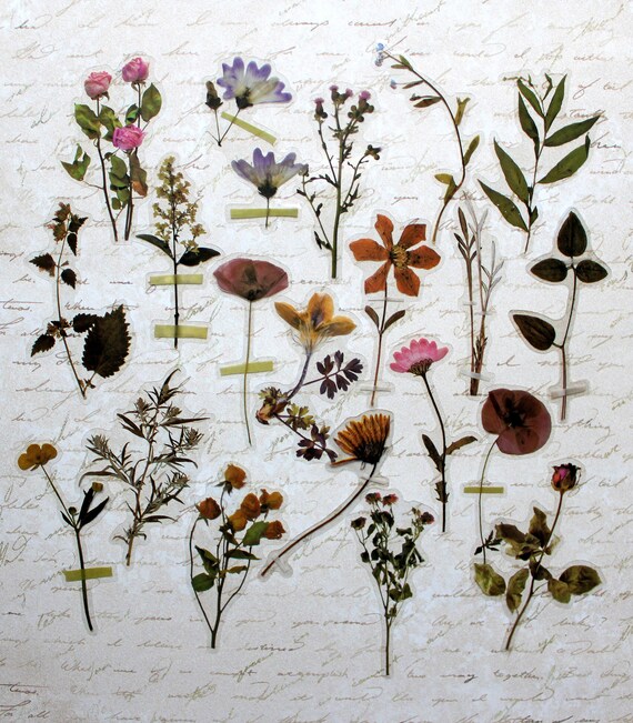 80 Pieces Natural Flower Stickers for Scrapbooking, Self-Adhesive  Scrapbookin