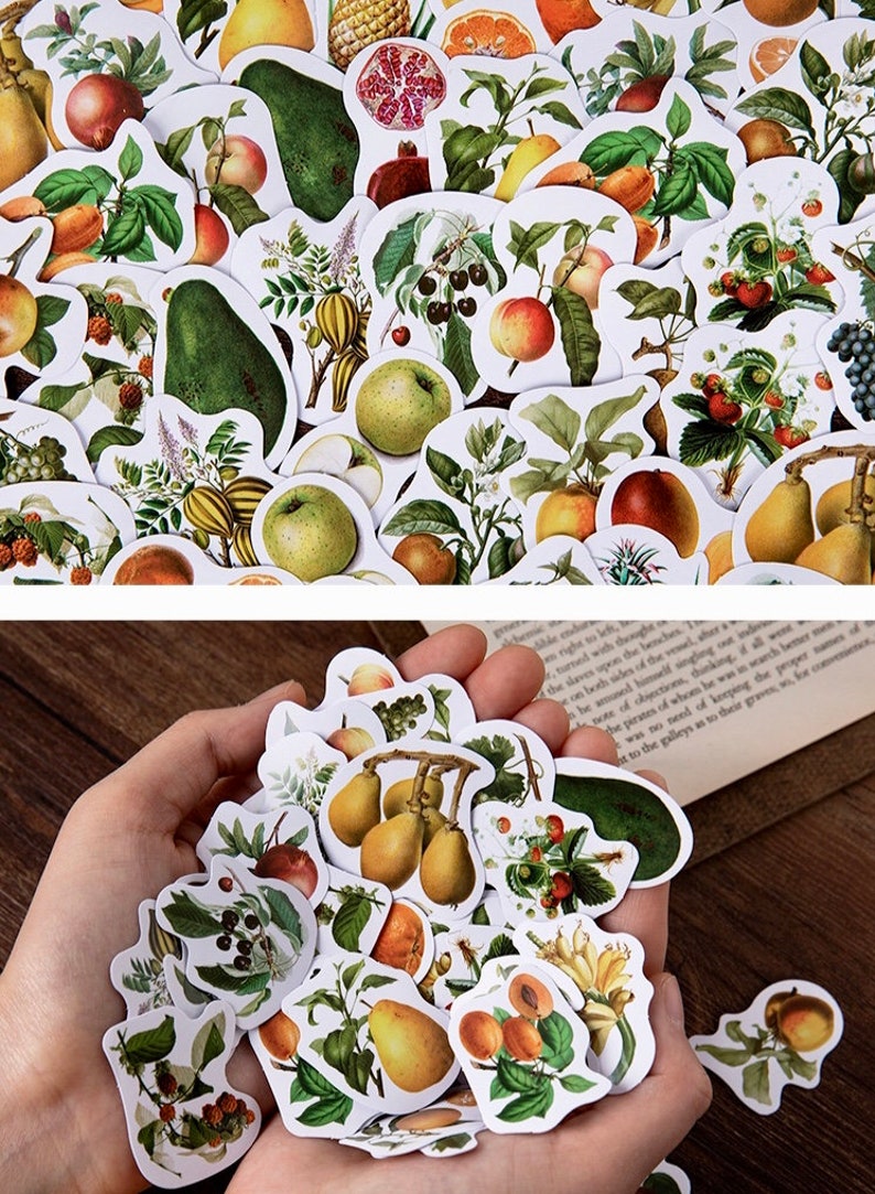 Fruit Flavor46 Piece Mini Box Die Cut Fruit StickersJournal Etsy